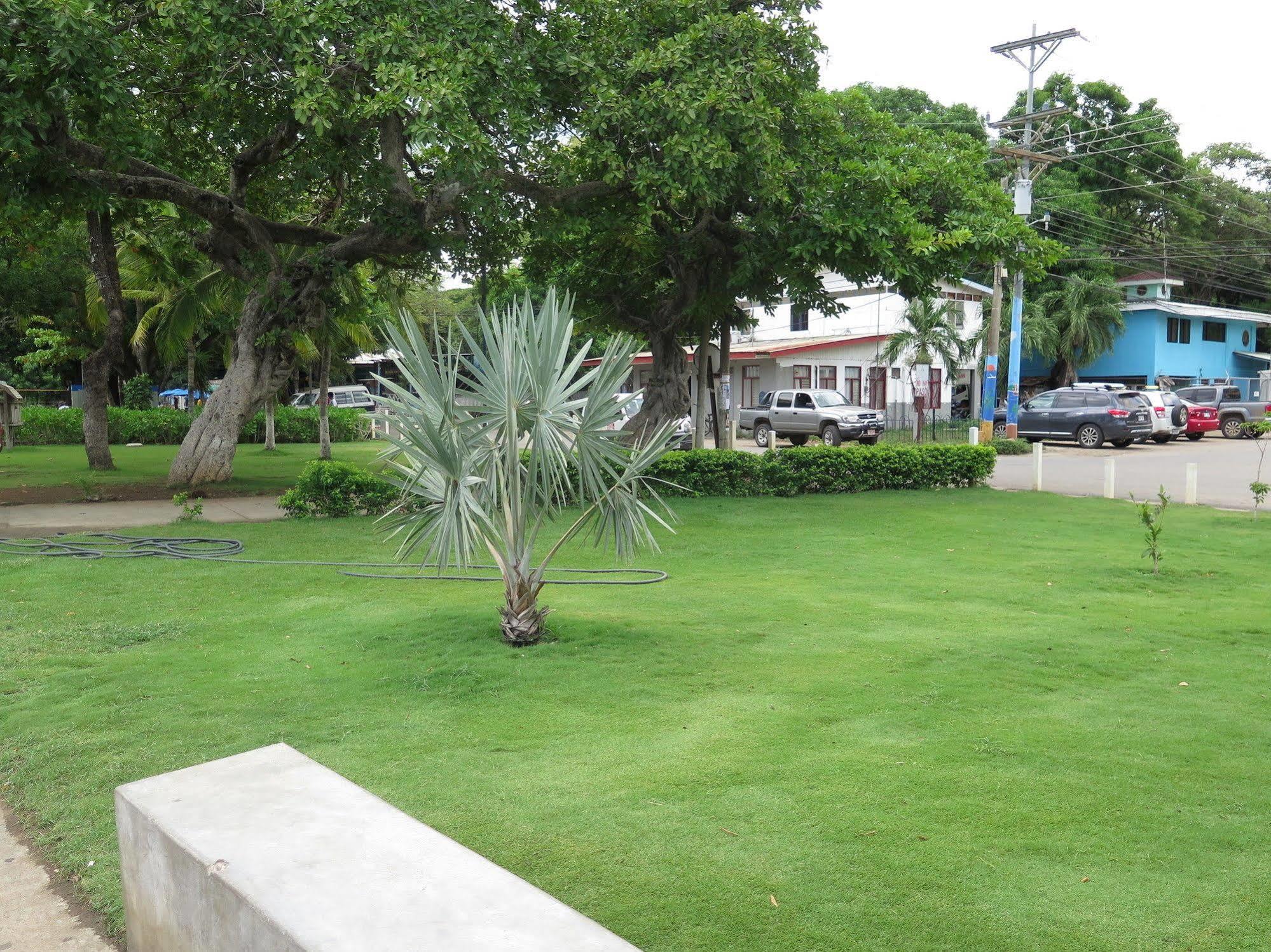 Hotel Savannah Playas del Coco Εξωτερικό φωτογραφία